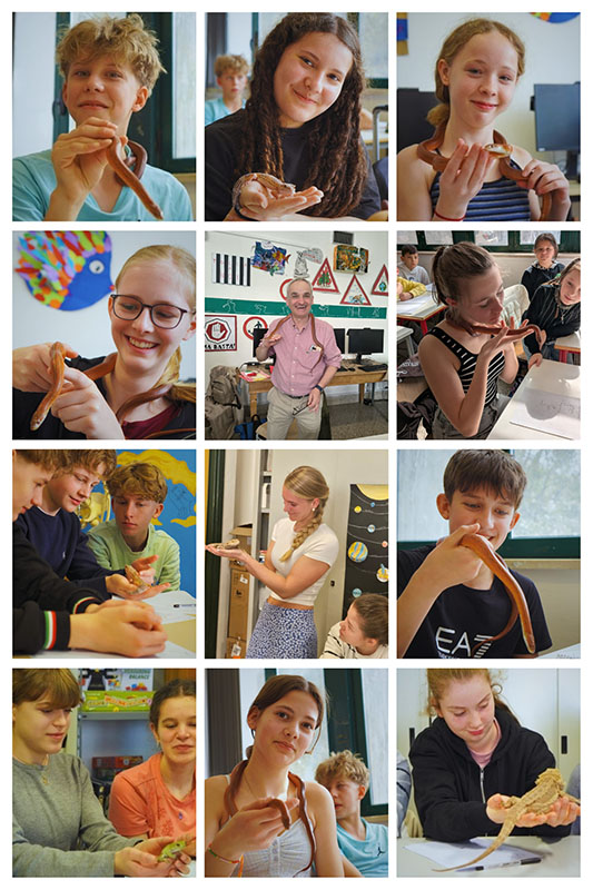 White and Grey Minimalist Photo Collage – 1